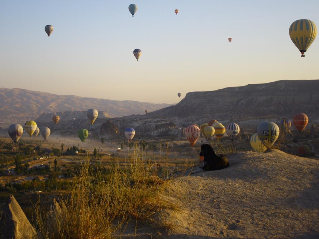 أوروغوبْ Crazy Horse Pension المظهر الخارجي الصورة